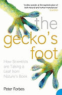 The Gecko├óΓé¼Γäós Foot: How Scientists are Taking a Leaf from Nature's Book