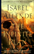 The Infinite Plan: Novel, A
