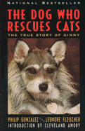 The Dog Who Rescues Cats: True Story of Ginny, The