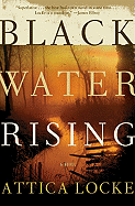 Black Water Rising: A Novel