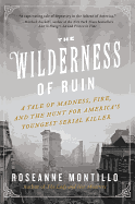'The Wilderness of Ruin: A Tale of Madness, Fire, and the Hunt for America's Youngest Serial Killer'