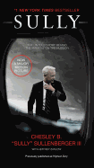 Sully: My Search for What Really Matters