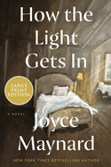 How the Light Gets In: A Novel