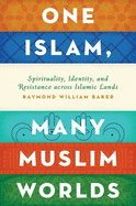One Islam, Many Muslim Worlds: Spirituality, Identity, and Resistance across Islamic Lands (Religion and Global Politics)