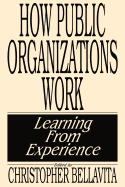 How Public Organizations Work: Learning from Experience
