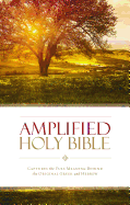Amplified Bible-Am: Captures the Full Meaning Behind the Original Greek and Hebrew