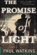 Promise of Light: A Novel