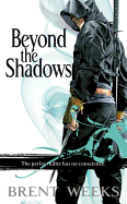 Beyond the Shadows (The Night Angel #3)