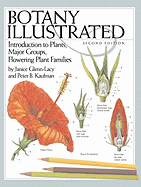 'Botany Illustrated: Introduction to Plants, Major Groups, Flowering Plant Families'