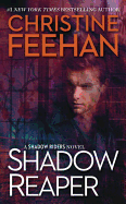 Shadow Reaper (A Shadow Riders Novel)