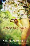 After the Rain (A Falling Home Novel)