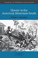 Slavery in the American Mountain South (Studies in Modern Capitalism)