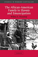 The African-American Family in Slavery and Emancipation (Studies in Modern Capitalism)