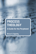 Process Theology: A Guide for the Perplexed (Guides for the Perplexed)