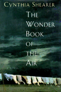 The Wonder Book of Air: A novel