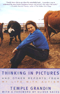 Thinking in Pictures
