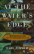 At the Water's Edge : Macroevolution and the Transformation of Life