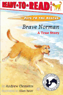 Brave Norman : A True Story