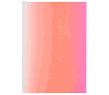 Neon Pink A6 Ombre Paseo Notebook