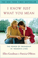 I Know Just What You Mean: The Power of Friendship in Women's Lives (New York)