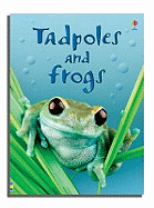 Tadpoles & Frogs - Usborne Beginners