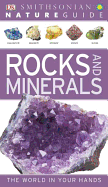 Nat Gd:Rocks and Minerals: The World in Your Hands (DK Nature Guide)