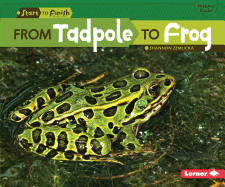 From Tadpole to Frog (Start to Finish, Second Series)