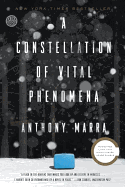 A Constellation of Vital Phenomena: A Novel