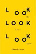 Look Here Look Away Look Again (Hugh MacLennan Po