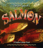Salmon (Life Cycle of A...(Paperback))