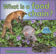 What Is a Food Chain? (My World - Grl H)