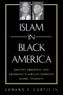 'Islam in Black America: Identity, Liberation, and Difference in African-American Islamic Thought'