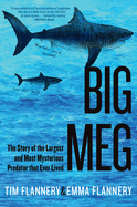 Big Meg