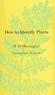 How to Identify Plants How to Identify Plants How to Identify Plants