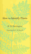 How To Identify Plants