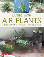 Living with Air Plants: A Beginner's Guide to Gro
