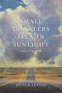 Small Disasters Seen in Sunlight: Poems (Barataria Poetry)