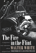 The Fire in the Flint (Brown Thrasher Books)
