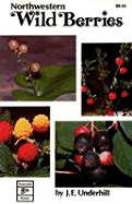 Northwestern Wild Berries