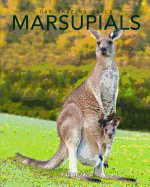 Marsupials: Amazing Pictures & Fun Facts of Animals in Nature
