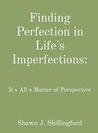 Finding Perfection in Life's Imperfections: It's All a Matter of Perspective