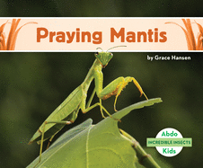 Praying Mantis (Incredible Insects)