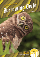Burrowing Owls (Animal Pranksters: Dash! Leveled Readers, Level 2)