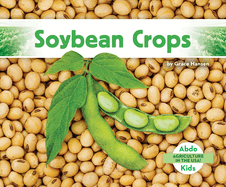 Soybean Crops (Agriculture in the USA!)