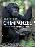 Chimpanzee (Lessons from our Sister Species)