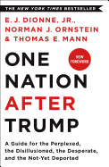 'One Nation After Trump: A Guide for the Perplexed, the Disillusioned, the Desperate, and the Not-Yet Deported'