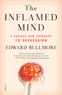 The Inflamed Mind: A Radical New Approach to