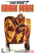 Tony Stark Iron Man Vol 2: Stark Realities
