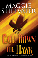 Call Down the Hawk (The Dreamer Trilogy, Book 1) (1)