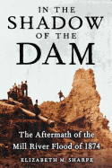In the Shadow of the Dam: The Aftermath of the Mill River Flood of 1874